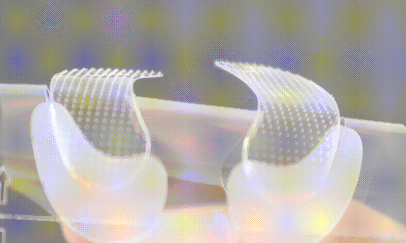 1758971101100706.gif 展示针 00_00_00-00_00_30.gif