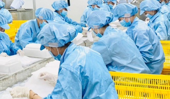 1781416061133236.jpeg mask factory 4.jpg